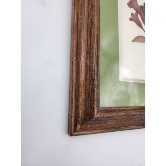 Vintage Pressed Flower Pictures By Elsie Kraft for Belart/Nature Incentives USA - Picture 7 of 11